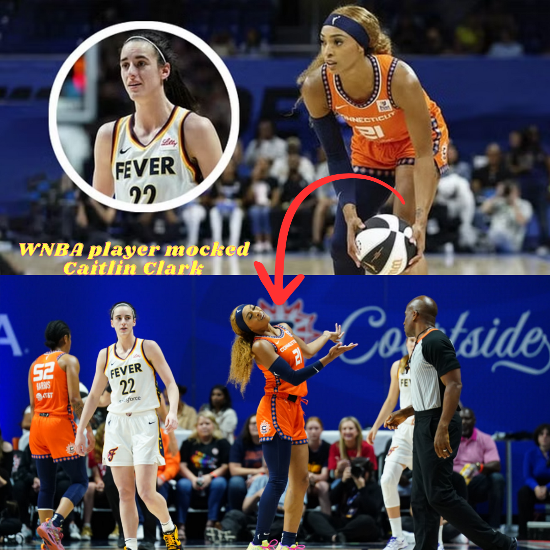 WNBA Player Who Mocked Caitlin Clark Has Stern Message For New Fans - News